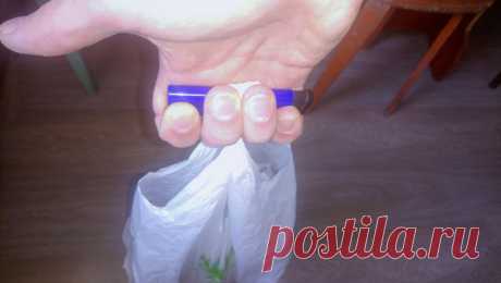 Когда я иду за покупками, беру с собой зажигалку. Зачем мне она? | Евгений Харвист | Яндекс Дзен