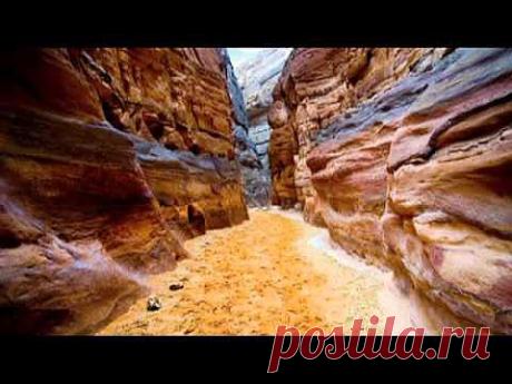 ▶ Andru Donalds - My place is here - YouTube