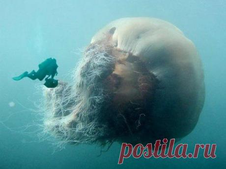 Мой Мир@Mail.Ru