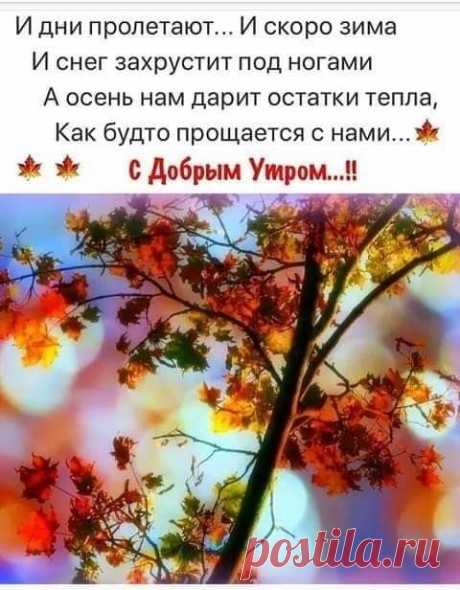 Шкатулка идей