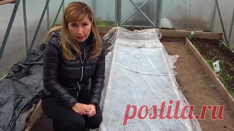 ОБАЛДЕННЫЙ СПОСОБ ПОСЕВА УКРОПА И МОРКОВИ ЗИМОЙ НА ГРЯДКИ!