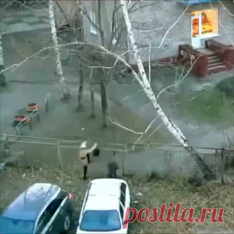 Дорога в детский сад.
И так каждый божий день.