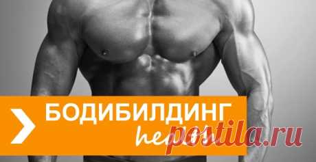 Бодибилдинг и здоровье | Мнение специалистов