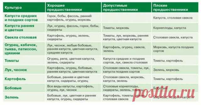 Что можно сажать после лука на следующий год на грядке, таблица