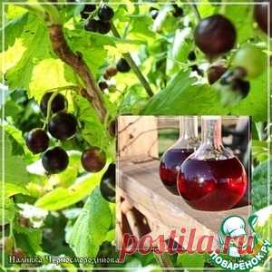 Черносмородиновая наливка - кулинарный рецепт
