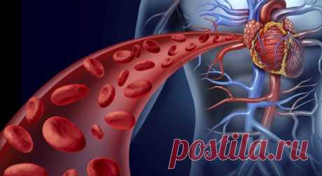 Шесть простых правил, чтобы избежать смертельной болезни сосудов — Intex-press. Последние новости города Барановичи, Беларуси и Мира