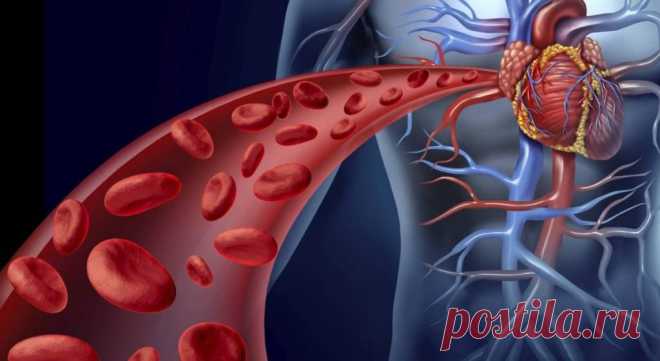 Шесть простых правил, чтобы избежать смертельной болезни сосудов — Intex-press. Последние новости города Барановичи, Беларуси и Мира