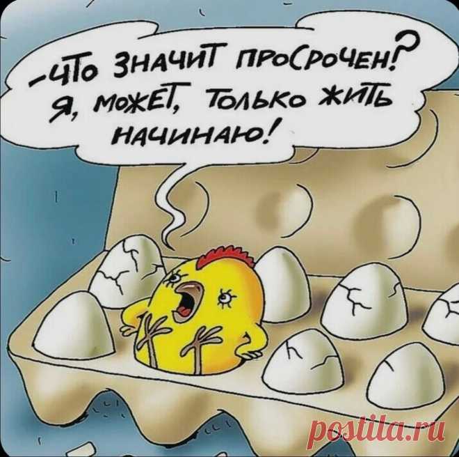 Как часто сталкиваетесь с просроченным товаром в магазине Как часто сталкиваетесь с просроченным товаром в магазине.Согласно Кодексу об административной ответственности РФ, держать на витрине ...