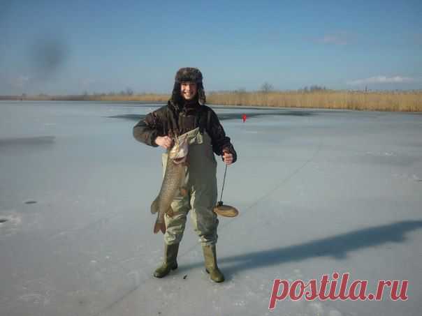 4100 / Богатая добыча