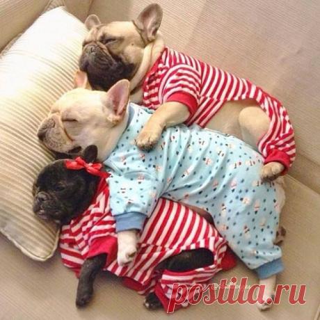 (27) Papatya örgüler - Timeline Photos