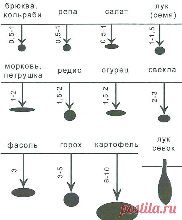 ПОСЕВ СЕМЯН: сроки, технологии, секреты