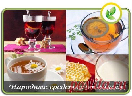 Мои закладки