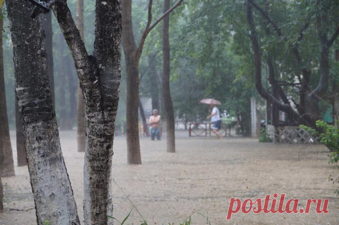 (3) Photos from Николай Тютюнник's post - Николай Тютюнник