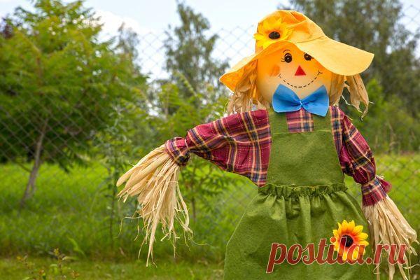 Сторож для огорода &#8212; 6 соток