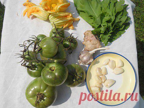 Пряная приправа из зеленых помидоров со щавелем