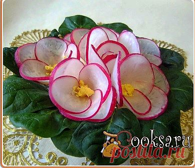 Салат«Фиалка»
Куриное бедро  (запеченное или вареное)  - 1 шт;
Сыр полутвердый - 100 г;
Яйцо куриное  (вареное)  - 3 шт;
Зелень петрушки  (небольшой пучок)  ;
Чеснок - 1 зуб.;
Редис  (3-4 шт на украшение, остальной в салат)  - 1 пуч.;
Майонез - 1 ст.л.;
Сметана - 2 ст.л.;
Смесь перцев  (мельница)  - по вкусу ;
Соль  (по вкусу и желанию)  ;
Шпинат  (свежий; для украшения, немного)  ;