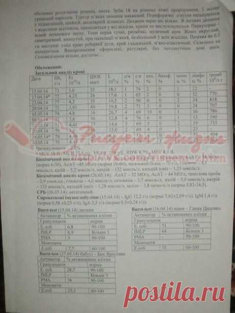 Выписка ч.2. Назар