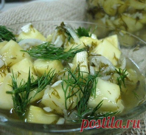 Кабачки 