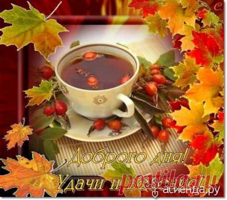 Фото 18710, альбом Что нового - 7360 фото | Фотографии 🐾 Чȩɯuρсᶄαи 🐾.