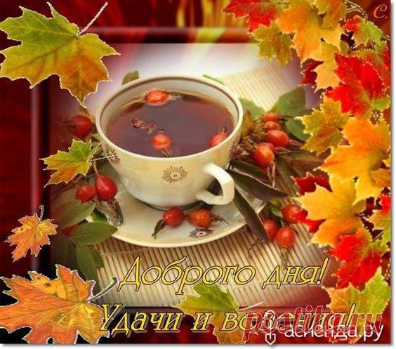 Фото 18710, альбом Что нового - 7360 фото | Фотографии 🐾 Чȩɯuρсᶄαи 🐾.