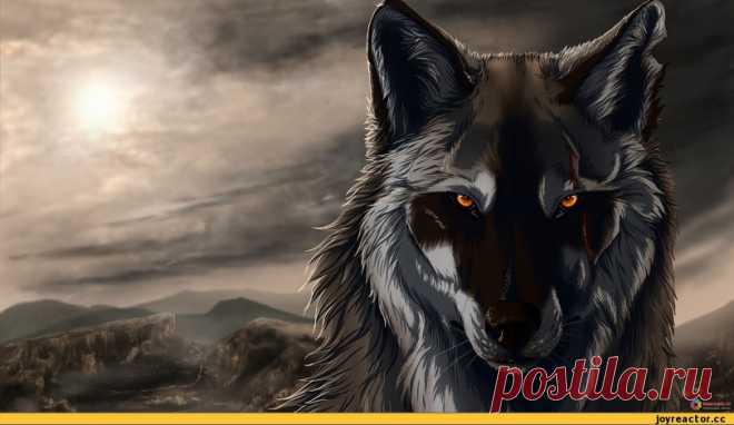 JoyReactor - смешные картинки и другие приколы: комиксы, гиф анимация, видео, лучший интеллектуальный юмор.