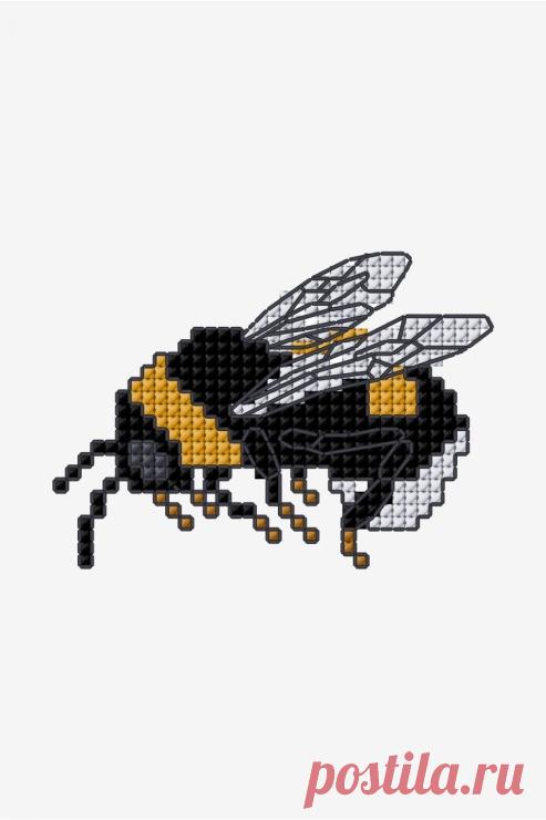 Gallery.ru / Фото #111 - Насекомые - BelleBlue