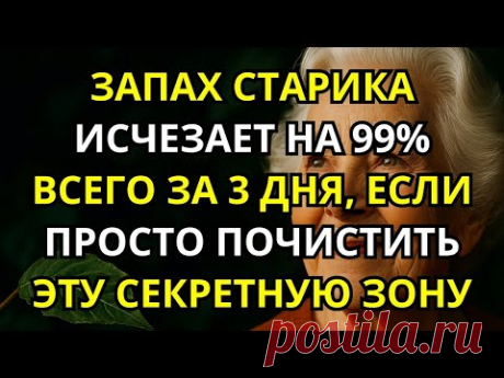 Запах старости может исчезнуть на 99 %, если просто очищать эти скрытые участки