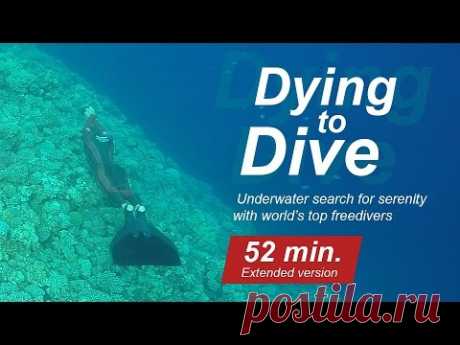 Dying to dive. Search for serenity with world's top freedivers. Extended 52 min version