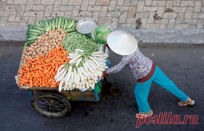 Какие лучшие предшественники для основных овощей?