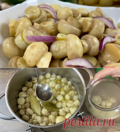 Маринованные шампиньоны за 10 минут