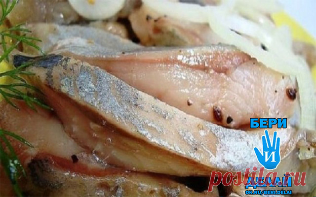 Вкуснейшая засолка сельди в бутылке