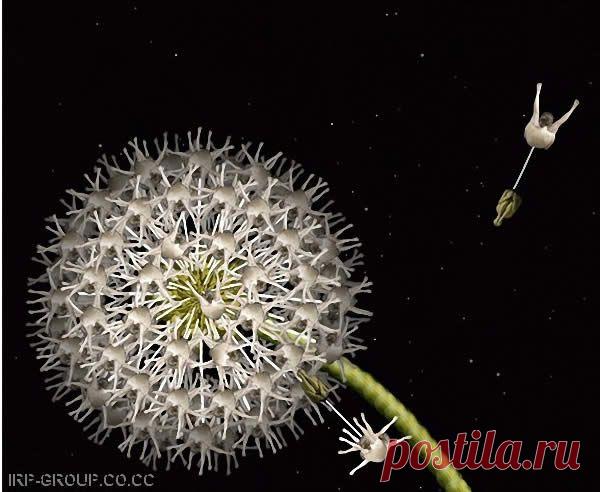 Невероятные фото! Это реальные люди...