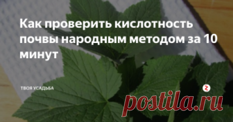 Как проверить кислотность почвы народным методом за 10 минут Для того чтоб быстро определить кислотность почвы можно воспользоваться проверенным народным способом. В этом помогут вам листочки черёмухи или чёрной смородины.
Сорвите 5 листочков чёрной смородины или черёмухи и залейте их стаканом крутого кипятка. Настой процеживают через марлю и полностью остуживают. В воду помещаю небольшой кусочек почвы с вашего участка. Жидкость тут же поменяет окрас.
Если