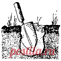 Ten Essentials - Wikipedia, the free encyclopedia