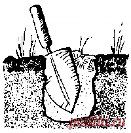 Ten Essentials - Wikipedia, the free encyclopedia