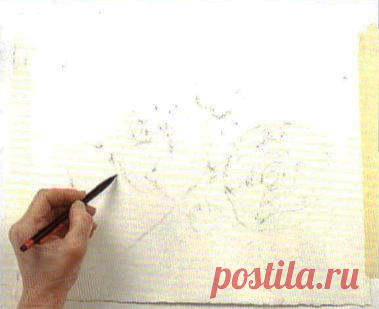 Уроки рисования акварелью - натюрморт | Нарисуем сами