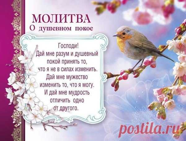 Меня не нужно возвращать,
Меня терять не нужно было.
Не нужно с болью вспоминать,
Все то, что я давно забыла.

Забыла боль обид и ссор,
Души израненную горечь.
И наш ...
читать продолжение в источнике...