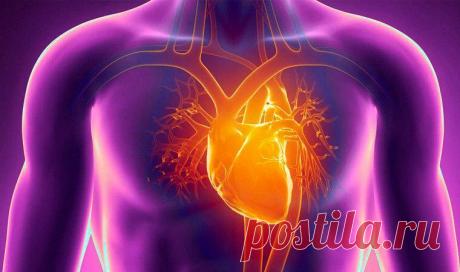 Как онкологи применяют 3D принтеры при лечении рака для проведения курсов лучевой терапии
Международный Медицинский многопрофильный центр (г. Хайфа, Израиль) Еще недавно технология 3D (трехмерная графика)  потрясала наше воображение объемностью и реальностью восприятия изображения на экране,  а сейчас  этим уже никого не удивишь.   3D принтеры, создающие трехмерные модели любых объектов, можно...
Читай дальше на сайте. Жми подробнее ➡