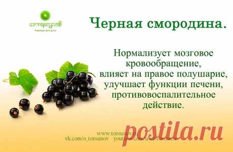 Черная смородина