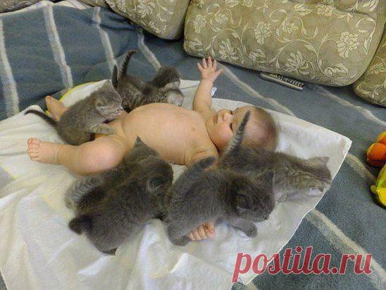 Требуются сотрудники на должность ИНФОРМАЦИОННЫЙ МЕНЕДЖЕР! Требования возраст 18-45 лет. График работы сводный.Наличие интернета. Зарплата каждые три недели! Компания легальная. Обучение бесплатное дистанционное! Кому интересно ставьте + в комментариях.