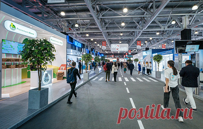 Более 3 млн человек воспользовались сервисами цифровой экосистемы РСХБ для АПК. Директор центра развития финансовых технологий РСХБ Елена Батурова рассказала, что сейчас цифровая система поддержки включает подбор персонала, бизнес-обучение и подготовку молодых специалистов, начиная со школьной скамьи, маркетплейс, финансовые и другие сервисы