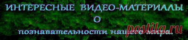 Этот документальный фильм — попытка представить себе наше ближайшее будущее, узнать, как изменит мир ускорение технологического прогресса, и нарисовать путь, которым может пойти эволюция.