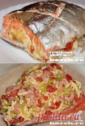 Без заголовка