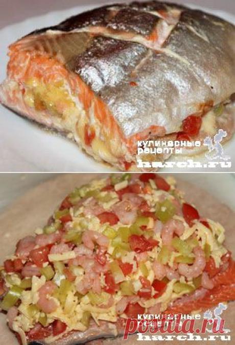 Без заголовка