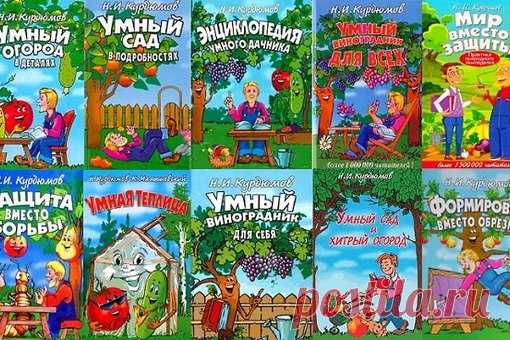 Книги Курдюмова