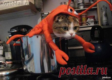 Костюм рака.