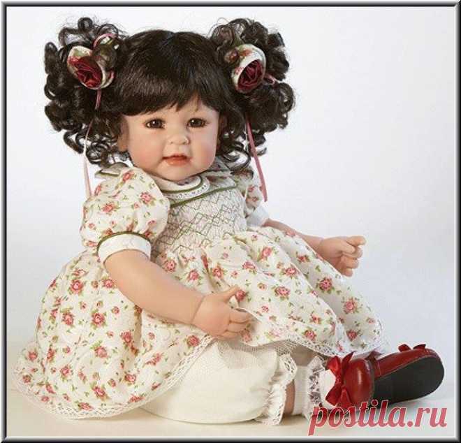 (1) Одноклассники