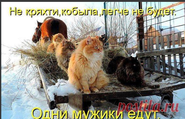 Мой Мир@Mail.Ru