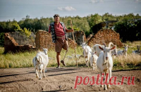 Как переселенец без руки и ноги стал сыроваром на Житомирщине | Чёрт побери
