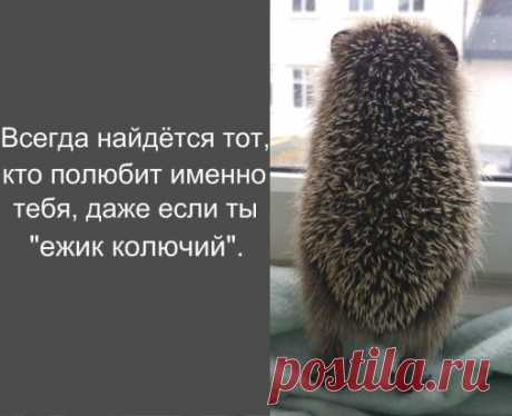 А ведь влюбляются не в красоту. Влюбляются в смех, вечно вьющиеся волосы, ямочки на щеках, родинку над губой или даже шрамик над бровью. А в красоту — нет. Красоту просто хотят. 
↓↓↓ Продолжение темы ЗДЕСЬ↓↓↓- ЖМИ↓↓↓